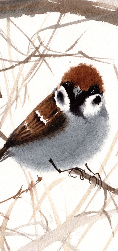SPARROW Bird  Watercolor Sparr by Olga Beliaeva Watercolour