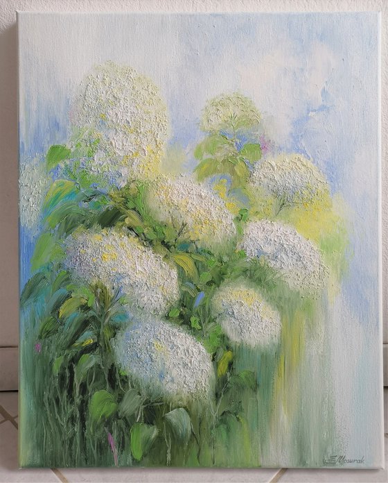 White hydrangeas