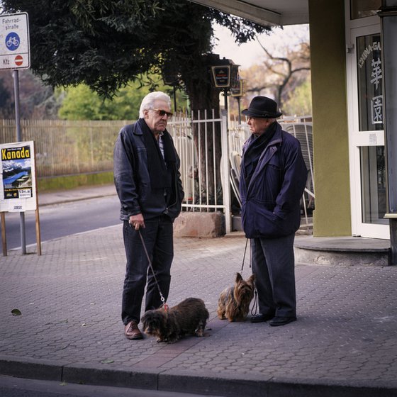 WALKING THE DOGS - FRANKFURT