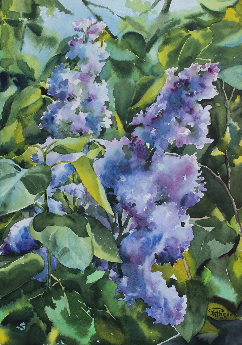 Impressionistic Botanical Watercolour By Yurii Pashkov, 15 X 22", Lilac, Original Artwork
