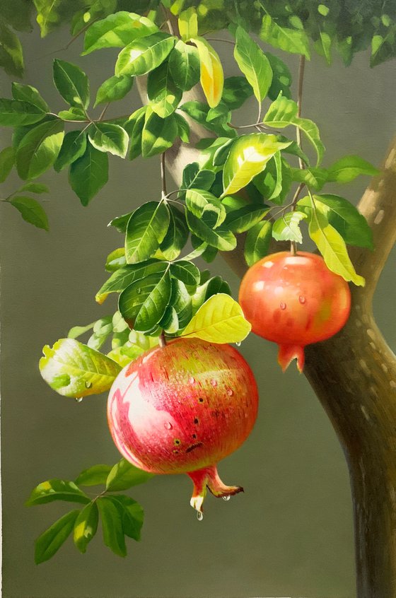 Still life:Pomegranates on the trees