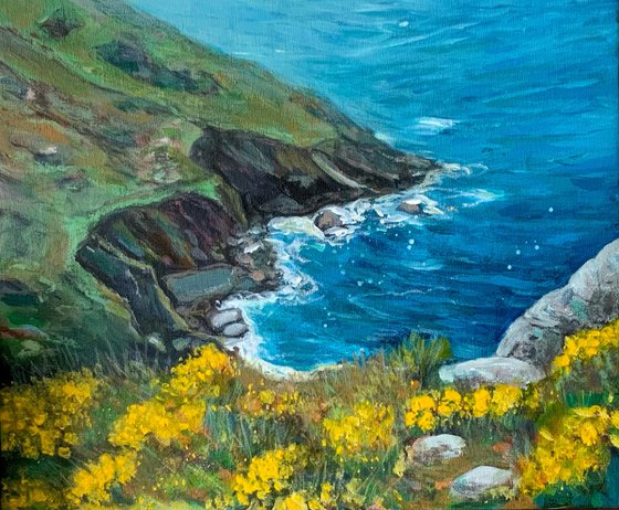 Cornish Cove