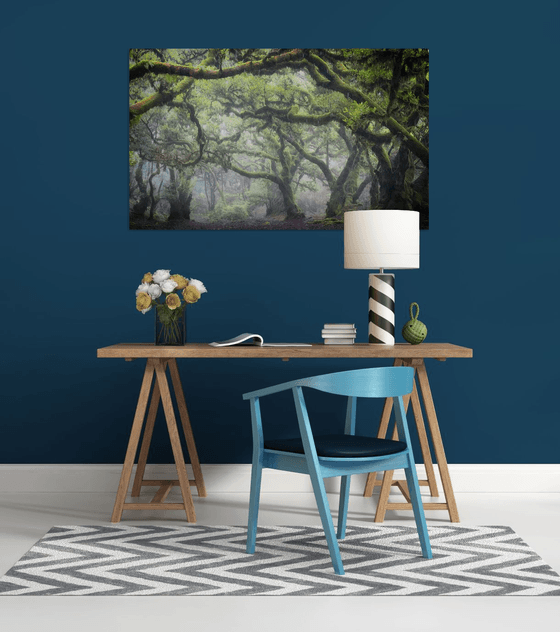 Misty Fanal Twisted Forest