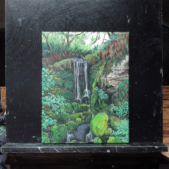Hidden Waterfall