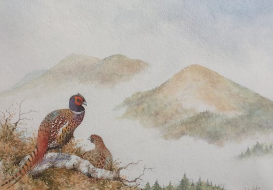 The Malvern Hills. Pheasants and Mist.