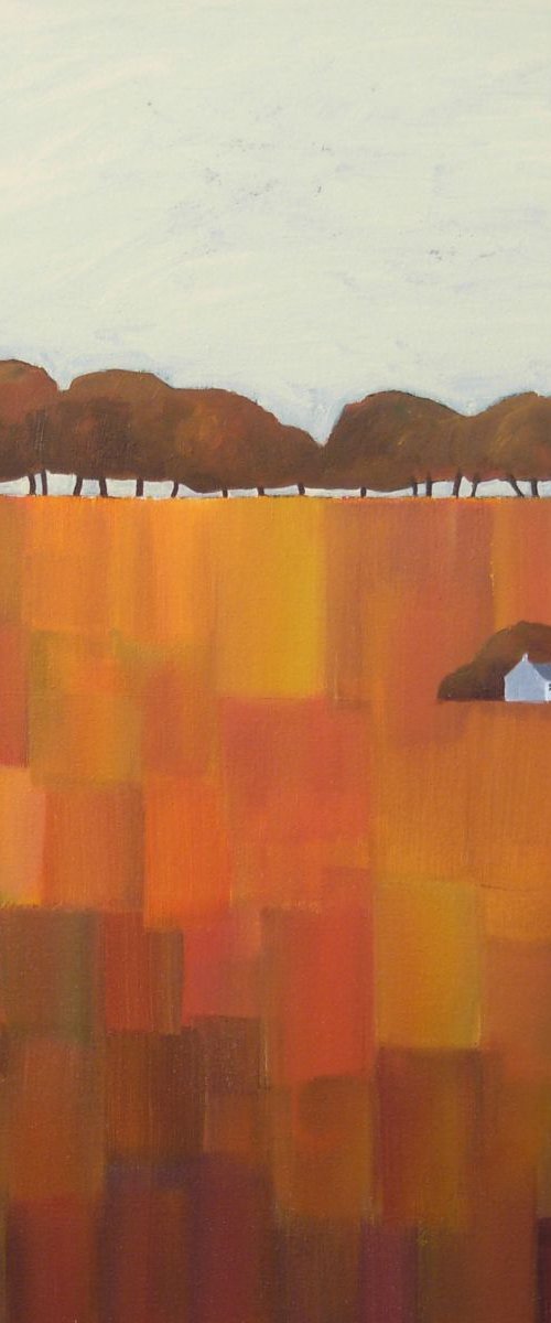 Autumn Fields 2 by Jan Rippingham