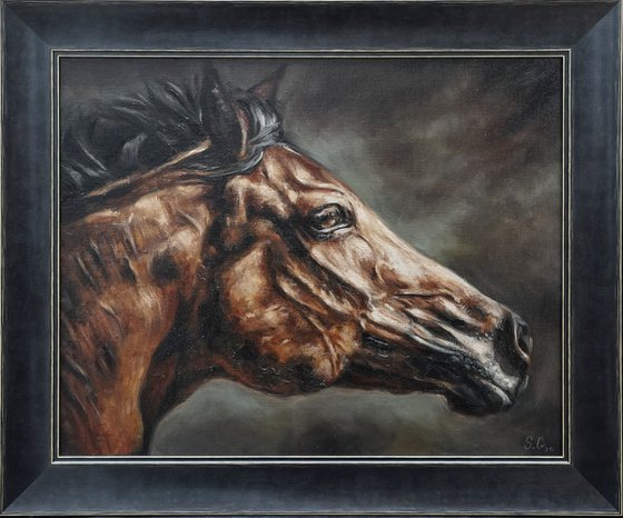 In Motion-Original Horse Portrait