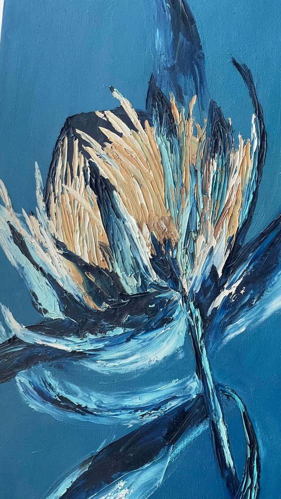 Protea