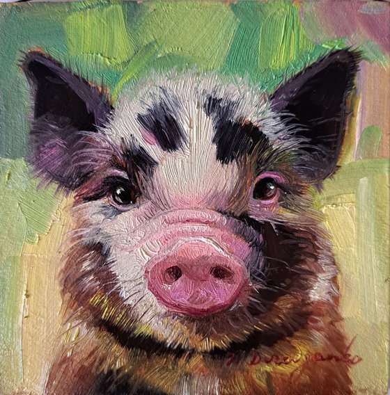 Pig portrait