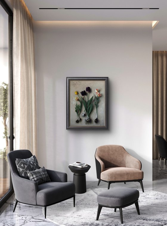 Tulip Bulbs 01