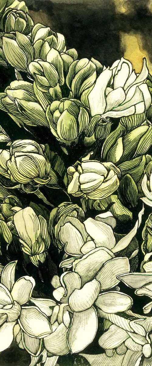 WHITE LILAC by Nives Palmić