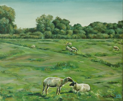 Sheep Landscape by Jura Kuba Art