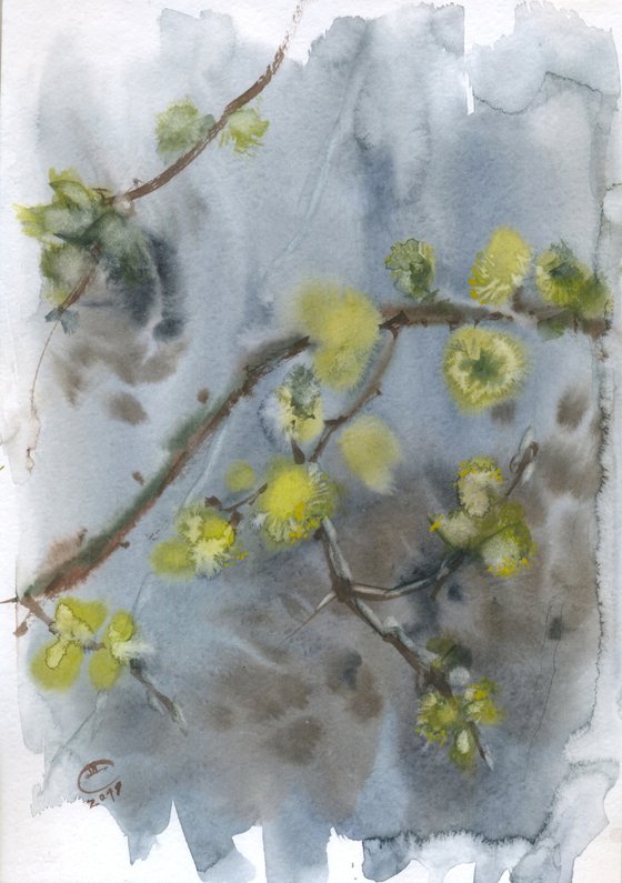 Willow blooming, #1