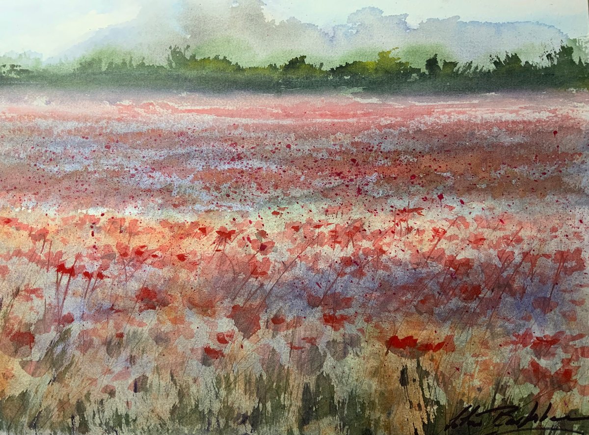 Misty Poppies by Colin Buckham
