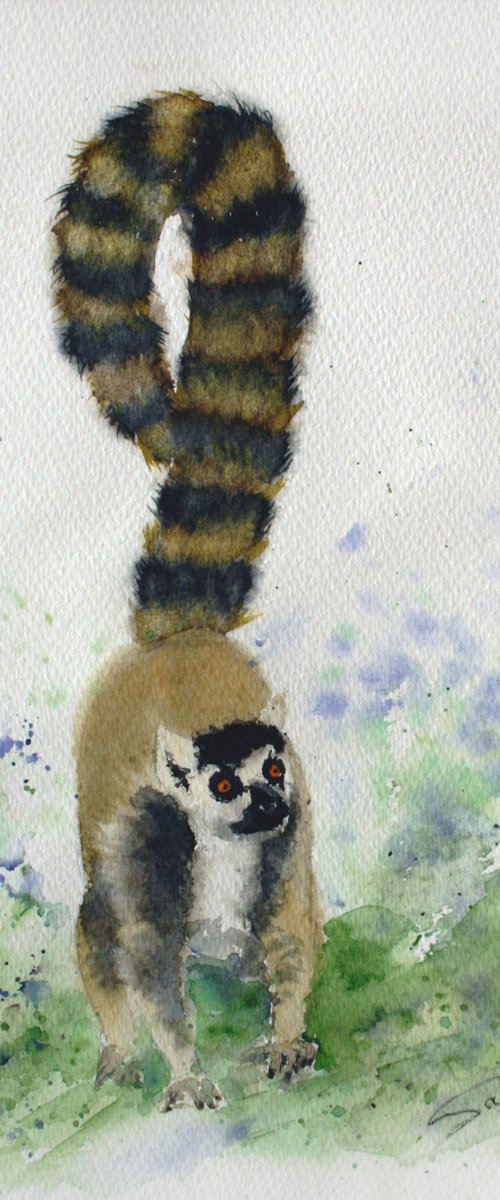 Lemur I - Animal portrait /  ORIGINAL PAINTING by Salana Art Gallery