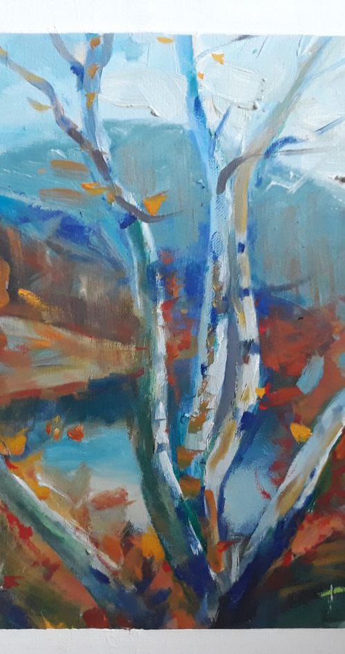 Forest by Boro Ivetic