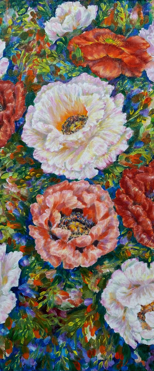 Poppies in a Secret Garden by Anastasia Woron