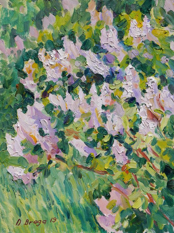 Lilic blooming (plein air) original painting