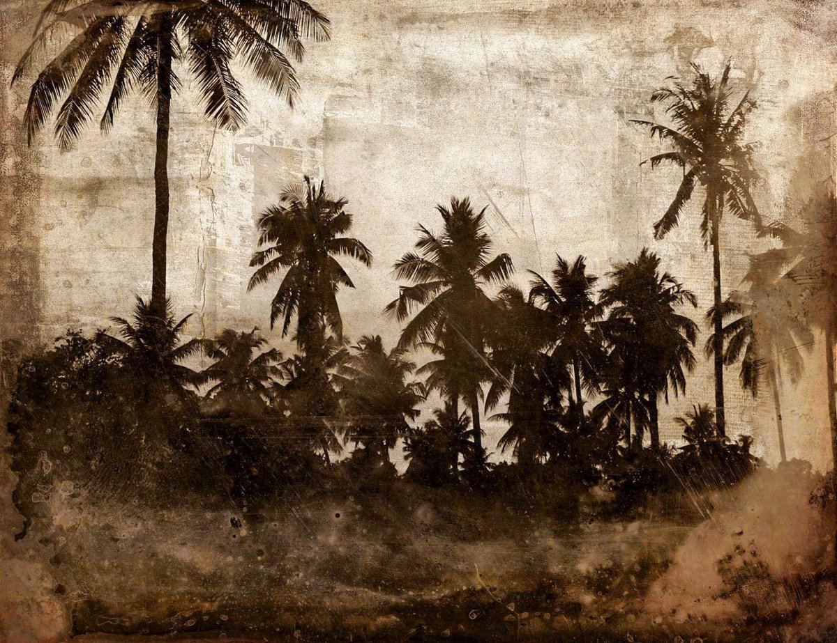 Abstract Landscape Photograph By Sven Pfrommer, 39 X 31", The Beach Xiv, Original Artwork