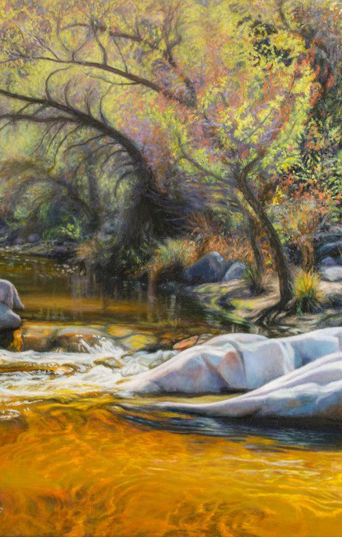Romero Canyon In Spring by Kathy Carney