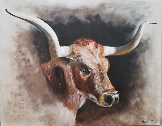 Majestic Bull
