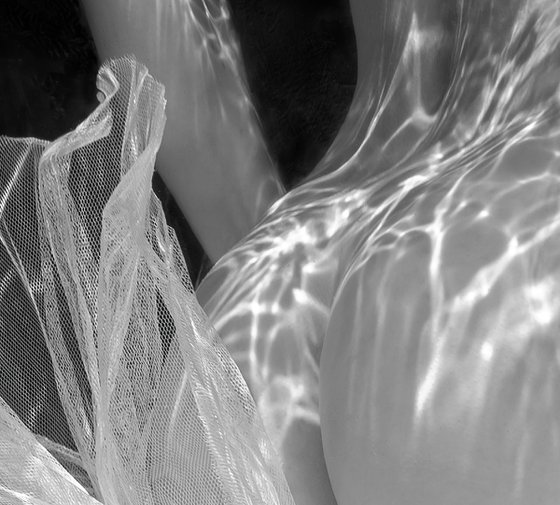 Tutu Skirt - underwater photograph - print on paper 22" x 36"