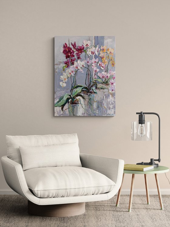 Blooming Colorful Orchids
