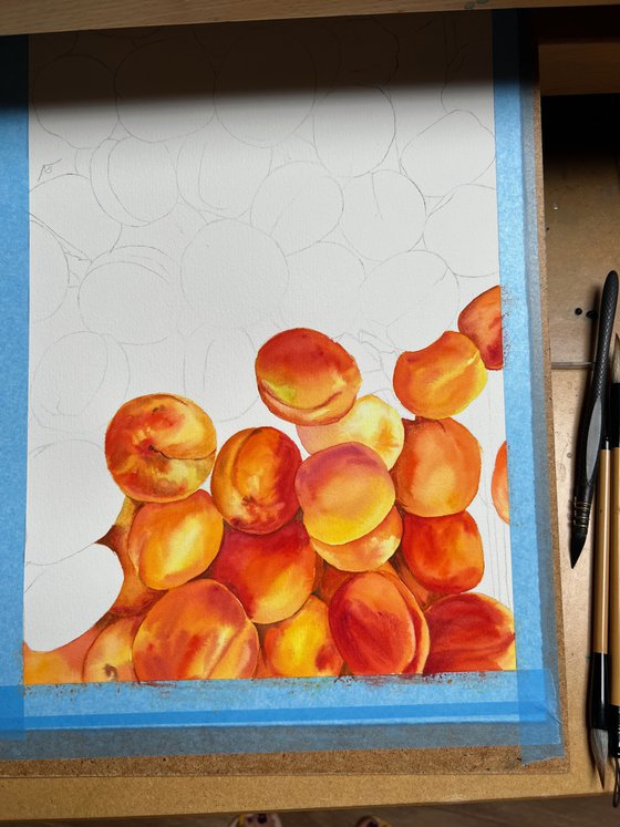 Apricots