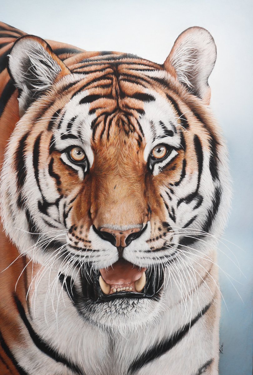 Photorealistic Animal Pastel Drawing By Milie Lairie, 16 X 24", Face A Face, Original Artwork