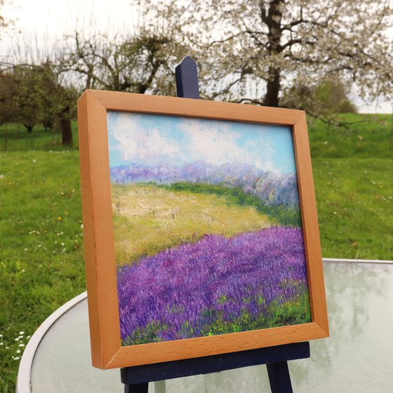 Lavender landscape