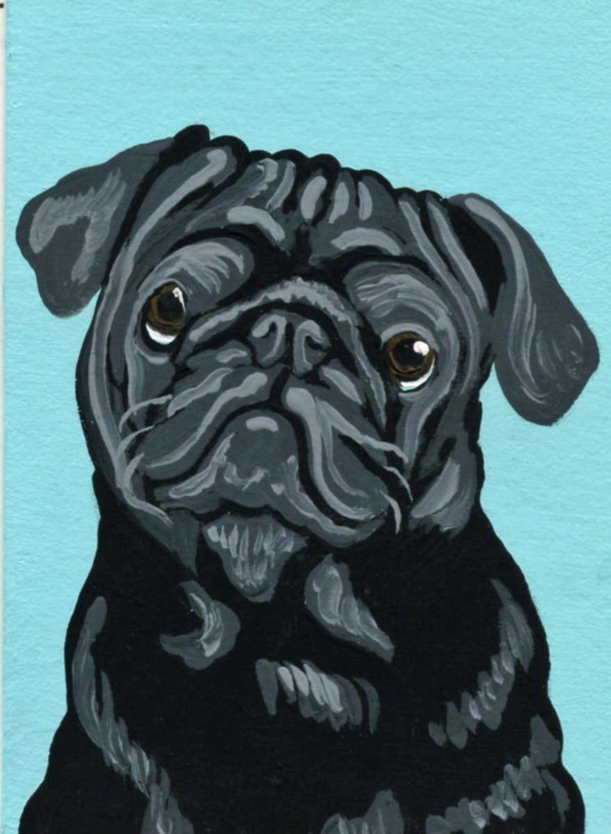 Black Pug Pet Dog by Carla Smale