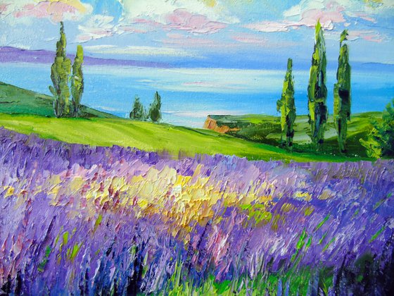 Lavender field