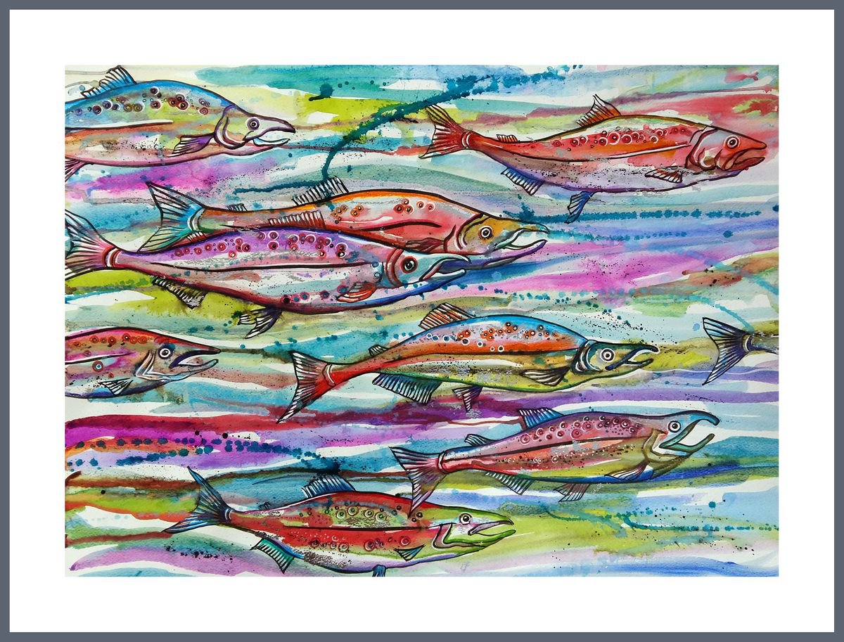Salmon Run by Julia Rigby