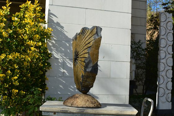 "Zephyr II"