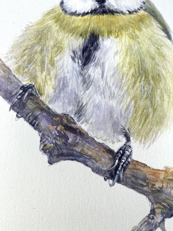 Nuthatch & Blue Tit (Set of 2)