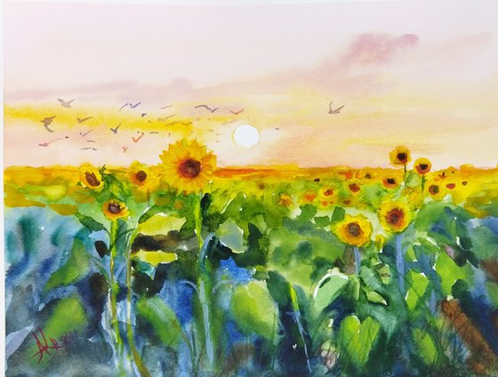 Yellow sunflowers