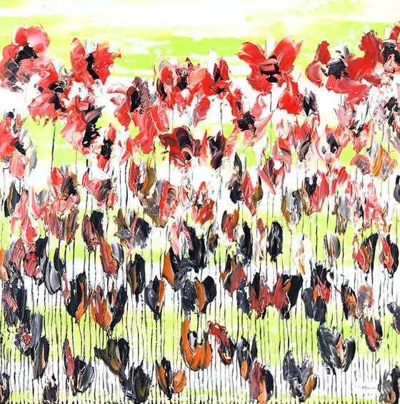 Poppy Flowers 2