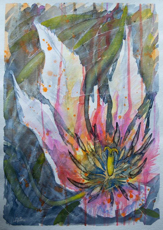 Fading pink tulip-floral watercolor painting for the interior of the office and home.
