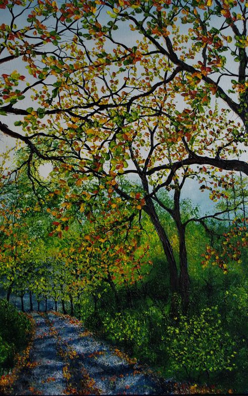 A Walk Through Delamere  61cm x 92cm by Hazel Thomson