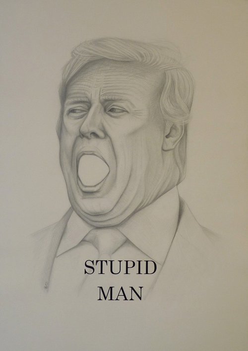D. Tro (Stupid Man) by Mackenzie Scott Clowes