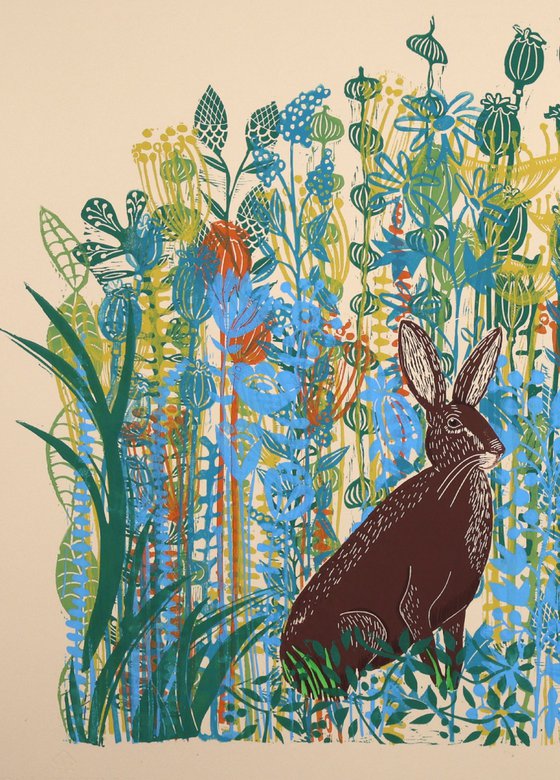 Hares in Meadow
