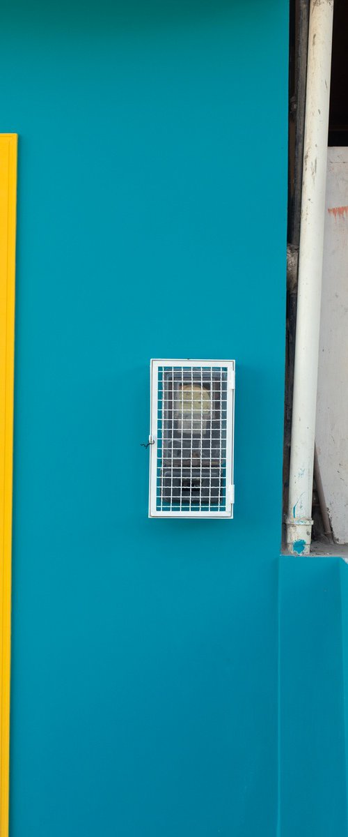 Blue Urban Contrast by Chiara Vignudelli