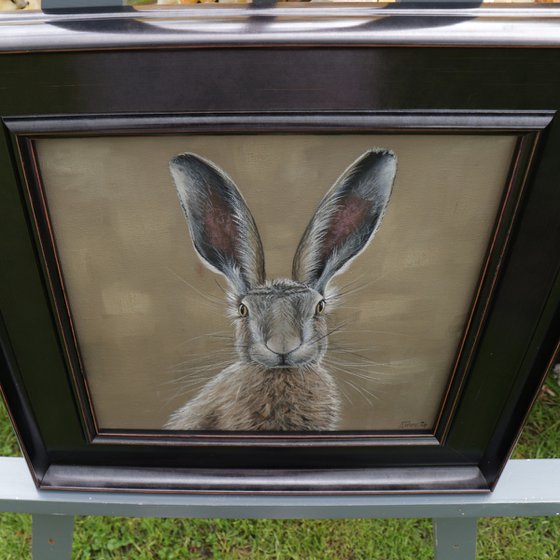 Portrait of a Hare I