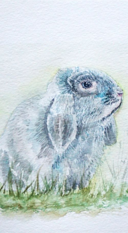 Fluffy by Yulia Schuster