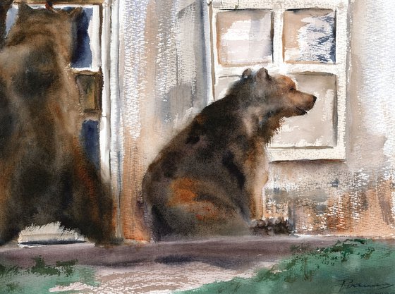 Curious Visitors