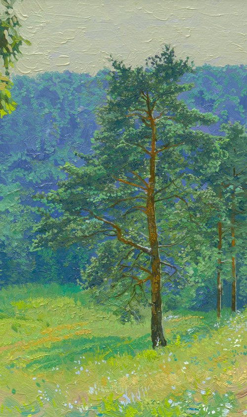 Pine grove by Simon Kozhin