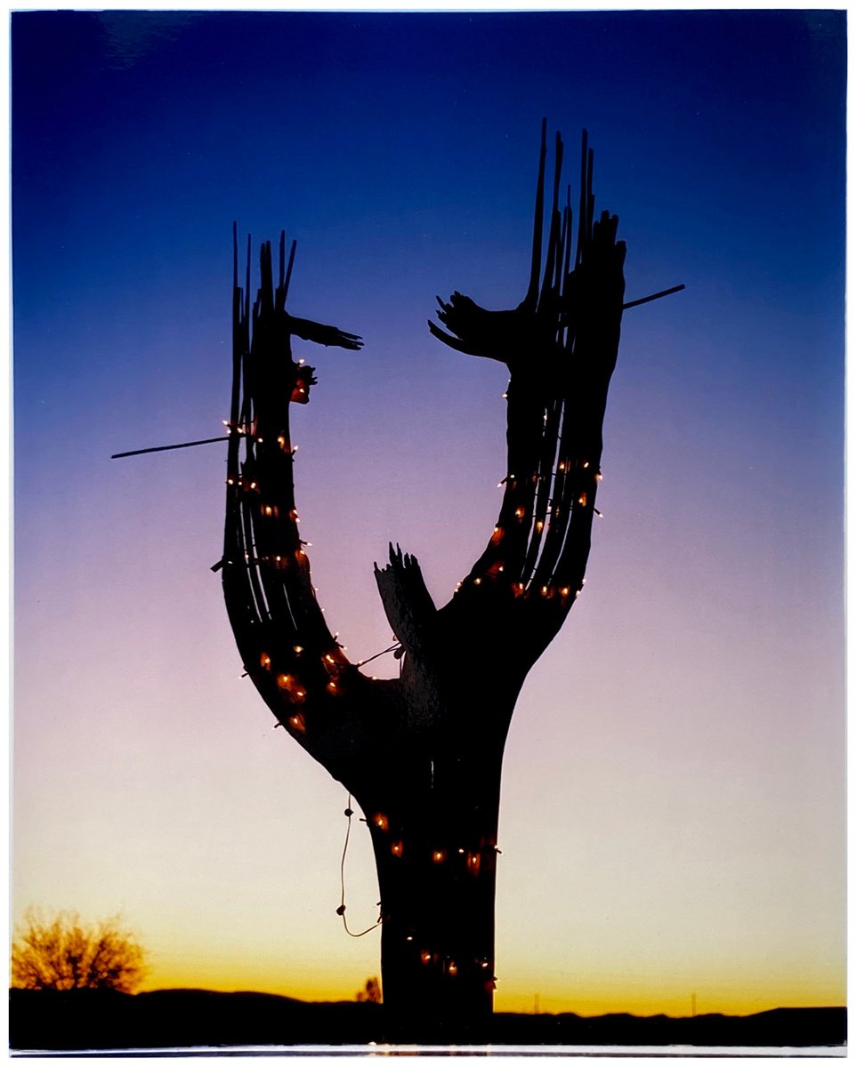 Cactus, Ajo, Arizona, 2000 by Richard Heeps