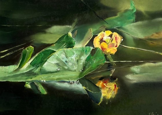 Yellow Flower Water Lily