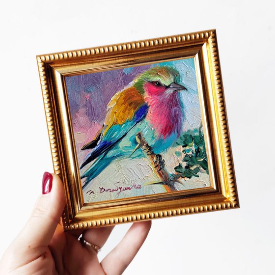 Bird painting original oil 4x4, Lilac-breasted Roller bird small frame art in gold frame