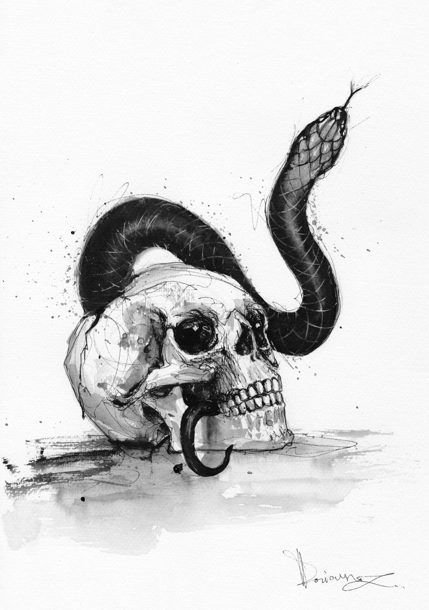Expressive Portrait Ink Drawing By Doriana Popa, 8 X 12, Skull And Snake, Original Artwork
